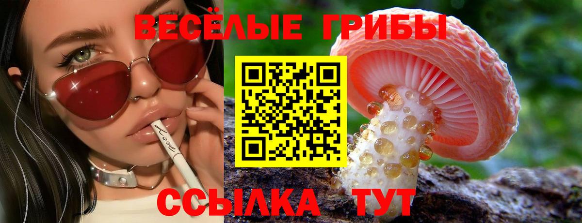 Галлюциногенные грибы прущие грибы Рыбинск